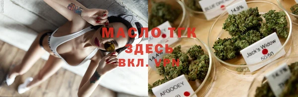 apvp Алзамай