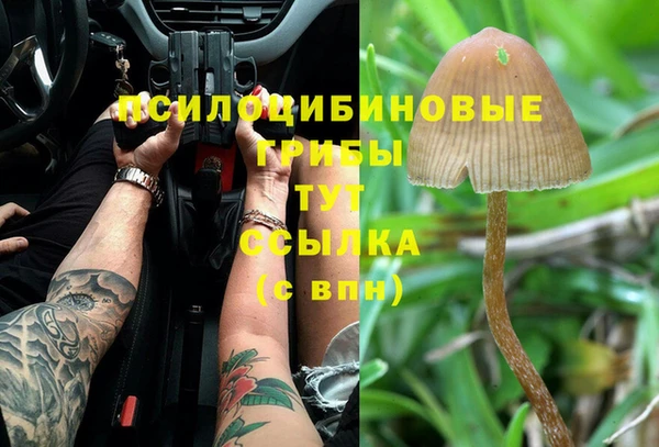 наркотики Алексеевка